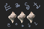 Paige – Quirky Display Font, a Handwritten Font by Wonder Shop (Thumbnail 6 of 6)