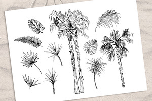 Tropicana - Palm Trees & Leaves Set