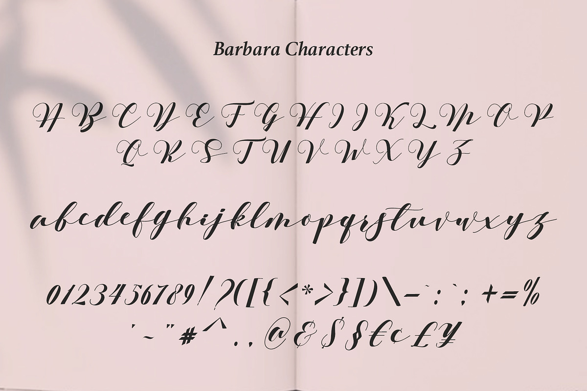 Barbara - A Classy Script Font, a Script Font by Aksapix Studio (Photo 3 of 11)