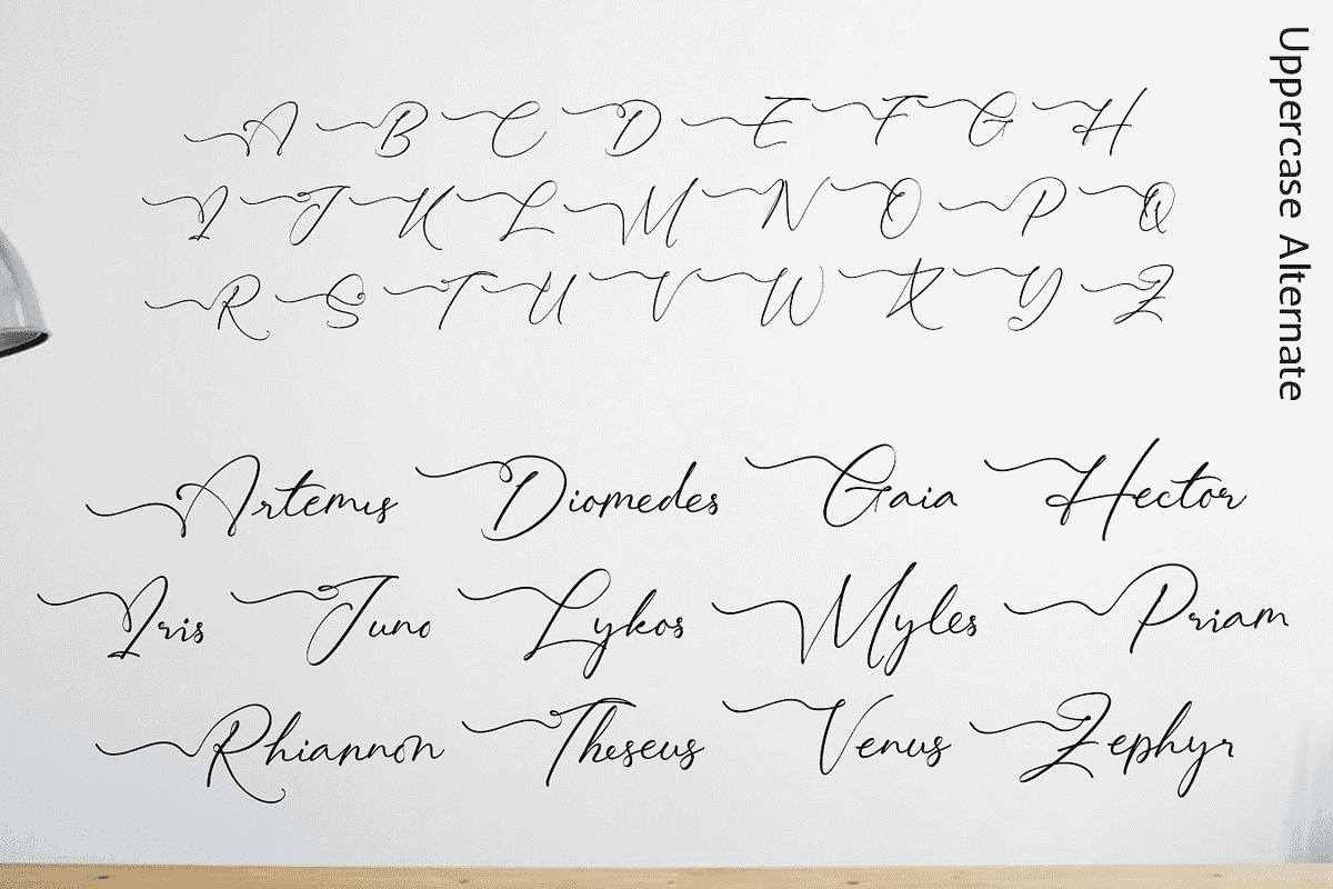Lovely Hydrillas Font, a Script Font by Letterhanna Studio (Photo 10 of 20)