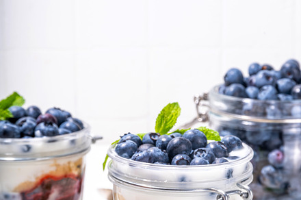Layered blueberry parfait dessert, a Food & Drink Photo by Rimma