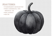 Fall Pumpkin Clipart PNG, an Object Illustration by MockupWizard (Thumbnail 4 of 5)