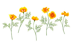 California Poppy Set