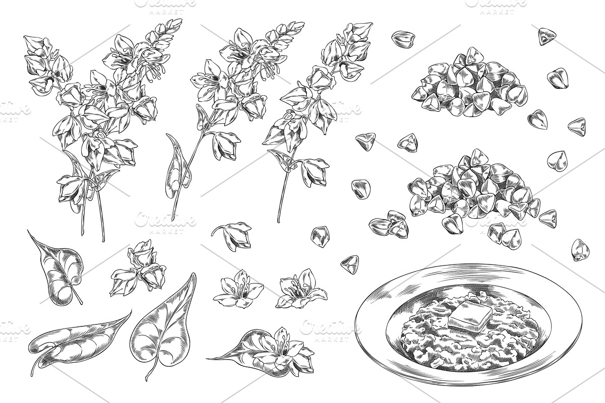 Set of Monochrome Sketch with, a Food Illustration by Sabelskaya