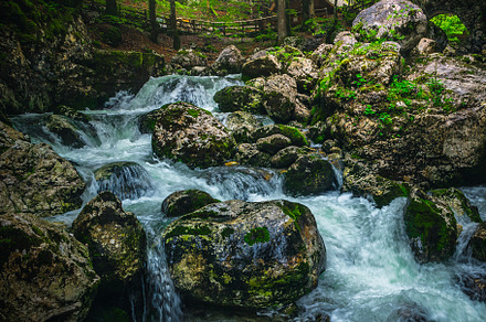 Creek with cascades in the forest, a Nature Photo by Alpine Dreams