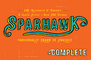 Sparhawk Complete Family, a Font by Albatross (Thumbnail 1 of 5)