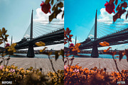 Landscape Nature Lightroom Preset, a Preset Add-On by AAA Presets (Thumbnail 9 of 18)