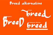 BREED, a Font by greatypes studio (Thumbnail 7 of 9)