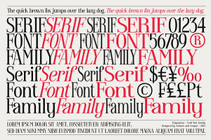 Enigmatica - Serif Font Family