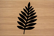 50 Fern Leaf Silhouette Clipart Set, an Illustration by Artivon (Thumbnail 4 of 4)
