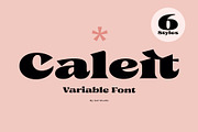 Caleit - Variable Font, a Serif Font by Get Studio (Thumbnail 1 of 20)