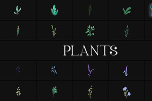 Plants for FCPX, a Templates & Theme by 2dfx