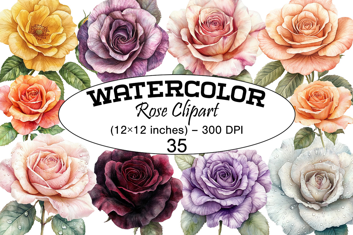Watercolor Rose Clipart, a Seasonal Illustration by Design Market