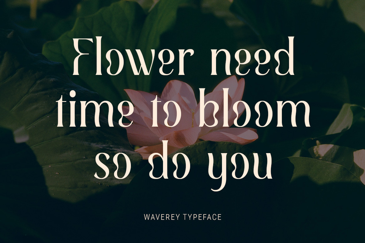 Waverey – Luxury Serif Display Font, a Serif Font by MERCI STUDIO (Photo 2 of 8)