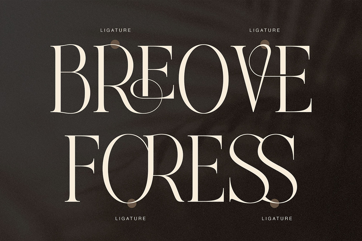Avelire-modern ligature, a Serif Font by ToniStudio (Photo 9 of 11)