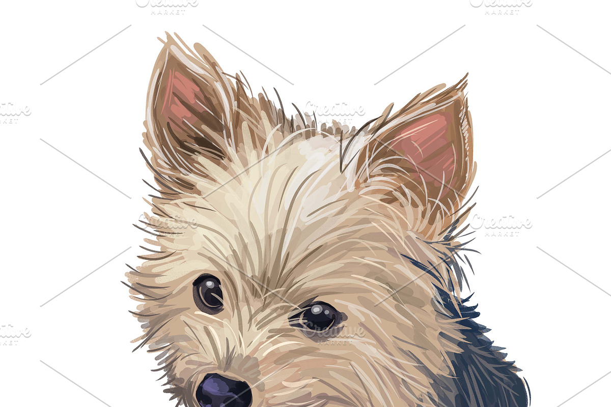 Dogs Cross Breeds 56 Animals Bundle, an Animal Illustration by Dneprstock (Photo 9 of 55)