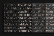 Gritlen, a Serif Font by OWL KING (Thumbnail 3 of 8)