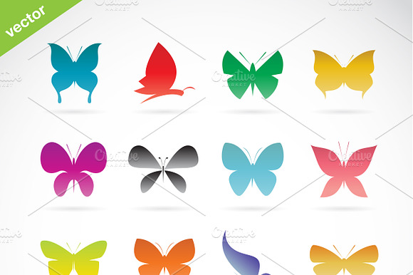 Vector Group Of Colorful Butterfly