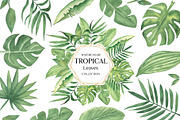 Watercolor Tropical Leaves, a Decorative Illustration by MayaNavits (Thumbnail 1 of 12)