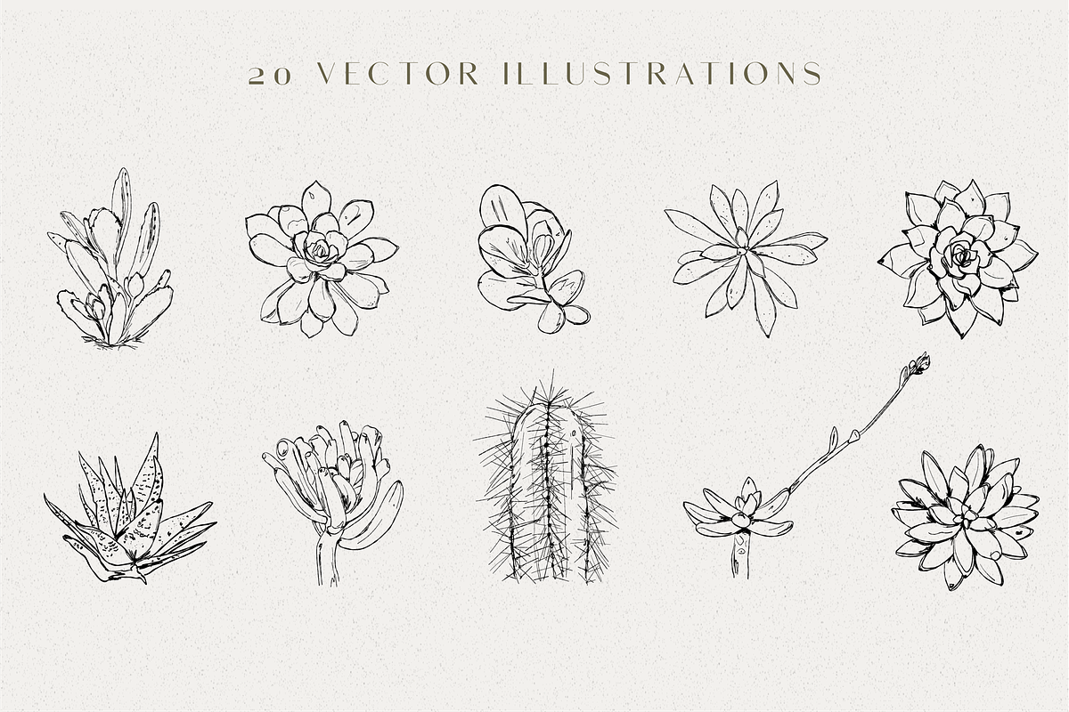 Line Art Succulent Illustrations, a Decorative Illustration by CL Creative Studio (Photo 2 of 10)