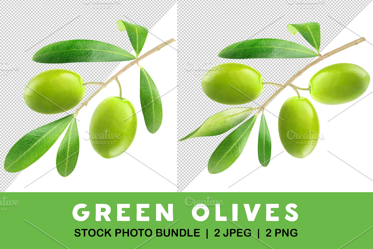 Green olives on a branch