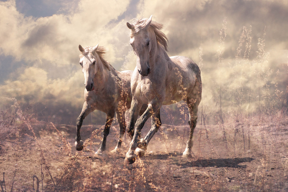 14 Landscape Sensation Presets, a Preset Add-On by Timeless Presets (Photo 10 of 13)