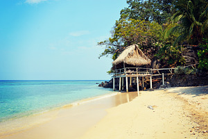 Paradise Beach Cabin