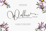 Wallows Typeface, a Script Font by banks (Thumbnail 1 of 5)