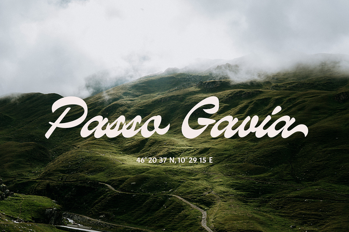 ED Medimont - Brush Script font, a Script Font by Emyself Design (Photo 12 of 12)