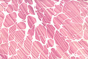 3 Hand Marbled Papers Aquarelle, a Texture Graphic by Marblingdom (Thumbnail 3 of 4)