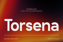 Torsena Modern Sans Serif Font