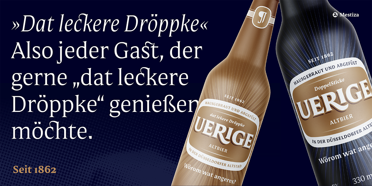 Mestiza, a Serif Font by Lechuga Type (Photo 12 of 16)