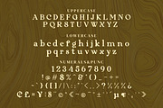 Kabytag Serif Fonts, a Serif Font by mahstudios (Thumbnail 11 of 14)