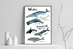 Whales - Watercolor Clip Art & Print