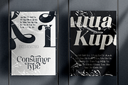Consumer Type - elegant font family, a Serif Font by VP Fonts (Thumbnail 10 of 18)
