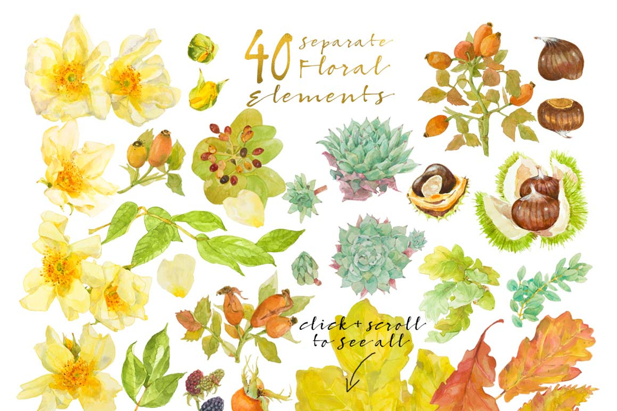 0406 Roses&Succulents&Fall Leaves, a Work Illustration by watercolorwild.graphics (Photo 5 of 10)