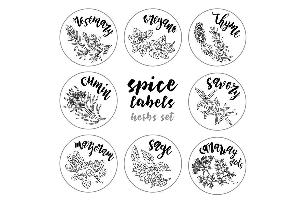 Spices and herbs labels set, a Decorative Illustration by Primula`s shop (Photo 8 of 12)