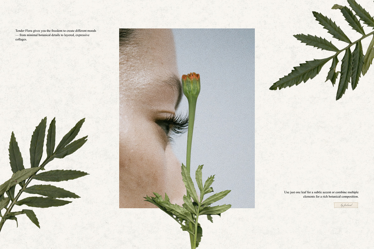 Tender Flora: Botanical Scrapbook, an Object Graphic by Feelsoul (Photo 8 of 10)