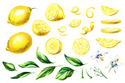 Fresh Lemon. Watercolor collection, a Background Graphic by Daria Ustiugova (Thumbnail 2 of 9)