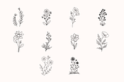 50 Hand Drawn SVG Floral Leaves, a Decorative Illustration by BoudaTemplate (Thumbnail 2 of 3)