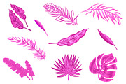 Rainforest Tropical Leaves set, a Decorative Illustration by mcherevan (Thumbnail 3 of 4)