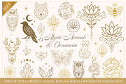 Mystic Animals & Nature Symbols Set, an Object Graphic by Christine Krahl (Thumbnail 1 of 3)