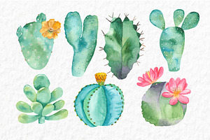 Succulents And Cacti. Watercolor.