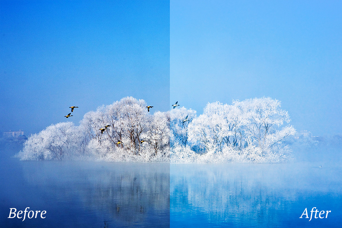 4 Seasons Lr Presets preview 7