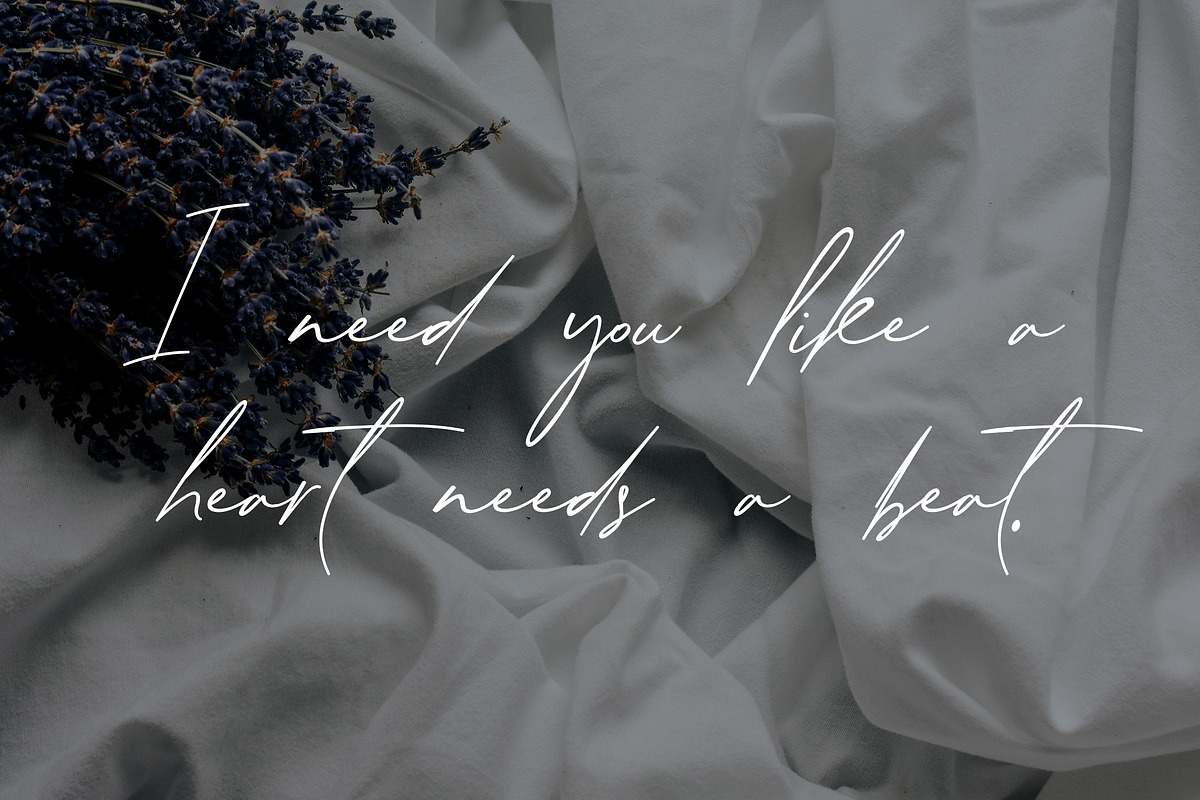 Sarmatia Signature Font, a Handwritten Font by UICreative (Photo 3 of 11)