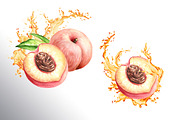 Ripe Peaches. Watercolor set, a Food Illustration by Daria Ustiugova (Thumbnail 19 of 23)