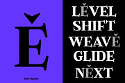 Bold Dignify - Minimalist Calm Serif, a Serif Font by Fridaytype (Thumbnail 3 of 12)