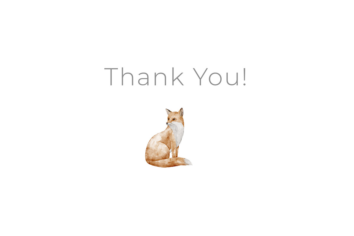 Woodland Animals Watercolor Clipart, an Illustration by Alisles (Photo 18 of 18)