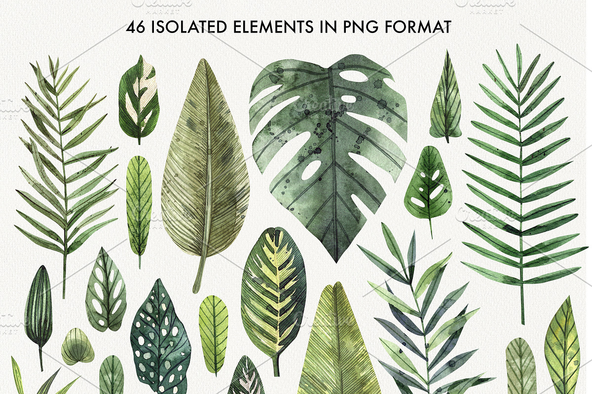 TROPICAL LEAVES & ELEMENTS, a Decorative Illustration by Watercolor by Tonia Tkach (Photo 2 of 6)
