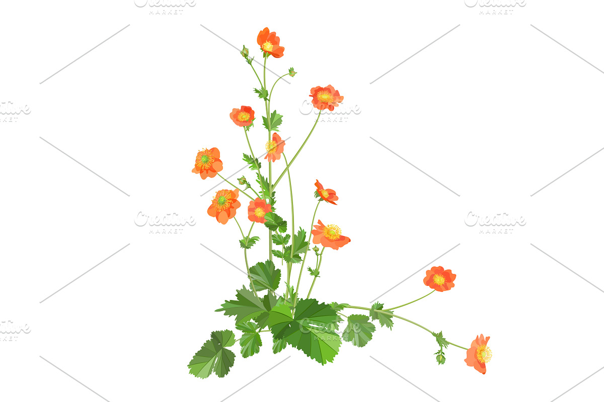 Vector object brushes. Geum., a Brush Add-On by Peolla (Photo 11 of 14)